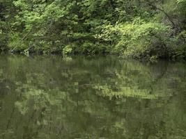 Liveto lake piedmont italy water reflection photo