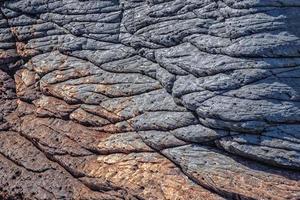 cortez sea rock detail mexico photo