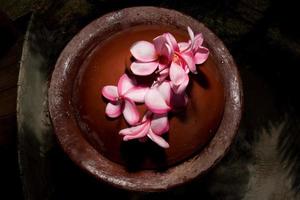 Spa flowers petals close up detail isolated photo