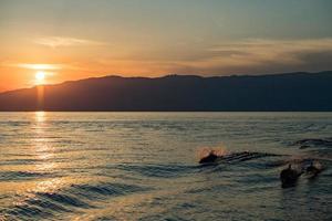 Dolphin silhouette while jumping in the sea at sunset photo