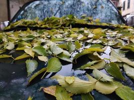 car covered foliage leaf carpet in autumn photo