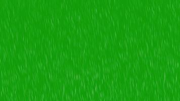 Realistic 3d rain fall,ain drops falling down, Rain falling on the green screen,Rain drizzle loop on a green background.Heavy Rain Green Screen Loop video