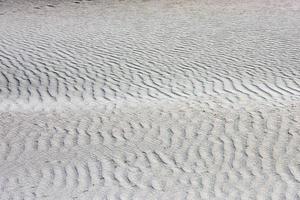 sand dunes near the sea beach photo