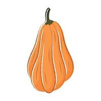 Vector isolated autumn illustration of halloween pumpkin in doodle style.