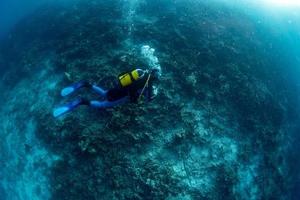 Blanqueamiento de arrecifes de coral muertos en Indonesia foto