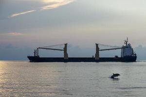 delfines listados saltando al atardecer frente a un buque cisterna foto