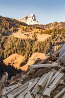 cutted logs on mountain background photo