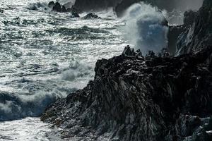 tsunami tropical hurricane on the sea photo