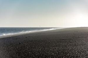 windy patagonia beach with penguins photo