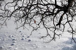 Frozen Lake view panorama detail photo