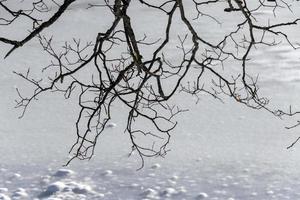 Frozen Lake view panorama detail photo