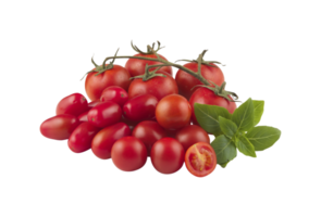 Tomatoes cut out transparent background png