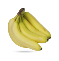 Banana Bunch cut out transparent background png