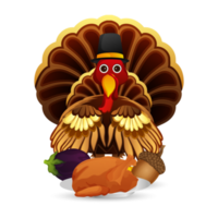 Turkey bird with elements png