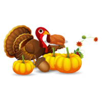 Turkey bird character and pumpkin png