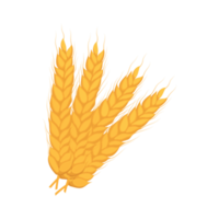 ilustração criativa de trigo png