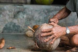 hand while cutting and opening fresh coconut photo