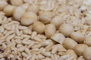 macadamia nuts close up detail photo