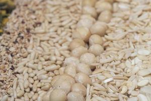 macadamia nuts close up detail photo
