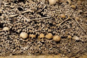 Paris Catacombs Skulls and bones photo