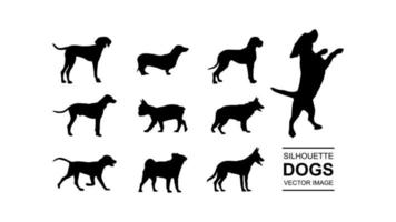 vector set of isolated dog silhouette on white background