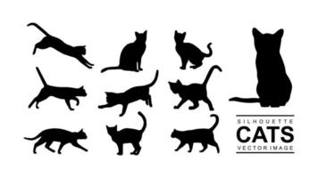 vector set of isolated cat silhouette on white background