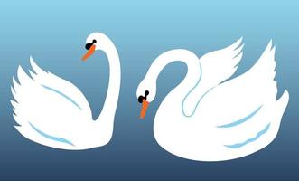 Swans on the water vector