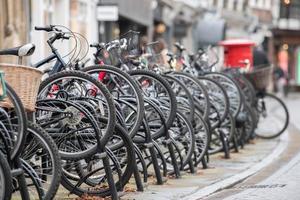 many bicycles in cambridge great britain photo