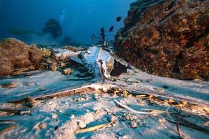 pez muerto bajo el agua foto