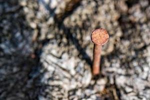 Rusted iron spike on wood macro close up detail photo