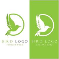 conjunto de logotipo de pájaro creativo con plantilla de eslogan vector