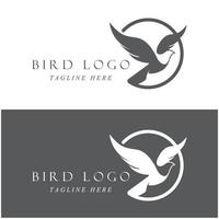 set of creative bird logo with slogan template vector