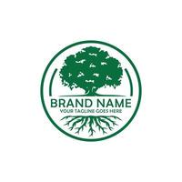 Oak tree logo design vector