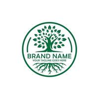 Oak tree logo design vector