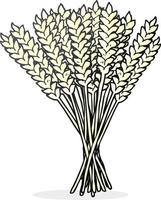 freehand drawn cartoon wheat vector