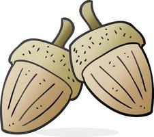 freehand drawn cartoon acorns vector