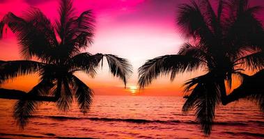 Beautiful sunset on the tropical sea beach.Silhouette of palm trees on pink sky background for travel and vacation as summer photo