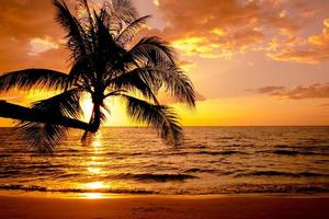 Silhouette of palm trees Beautiful sunset on the tropical sea beach background for travel in holiday relax time, photo