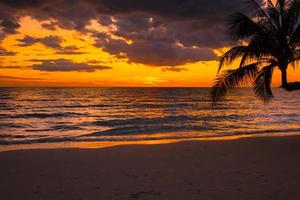 silueta de palmeras hermosa puesta de sol en el fondo de la playa tropical para viajar foto