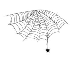 Black spider and web. Scary spiderweb of halloween . Vector illustration