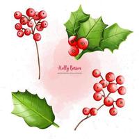 Christmas Holly berry set, Digital paint watercolor illustration vector