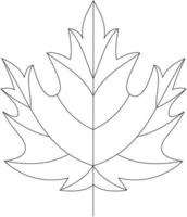 Acer saccharum sugar maple leaf vector icon black and white