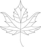 Oriental plane chinar leaf vector icon black and white