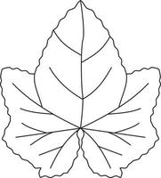 Alcea rosea hollyhock leaf vector icon black and white