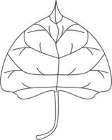 populus deltoides icono de vector de hoja de chopo en blanco y negro