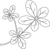Portulaca oleracea purslane leaf vector icon black and white