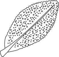 Agathosma betulina buchu leaf vector icon black and white