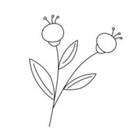Hand drawn flower in line art doodle style. Botanical decorative element. vector