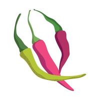 chili pepper icon vector