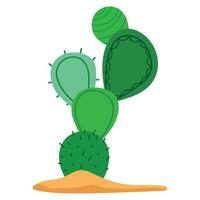 cactus in soil vector